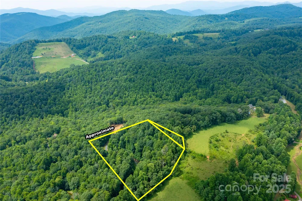 000 Sassafras Drive Little Switzerland, NC 28777