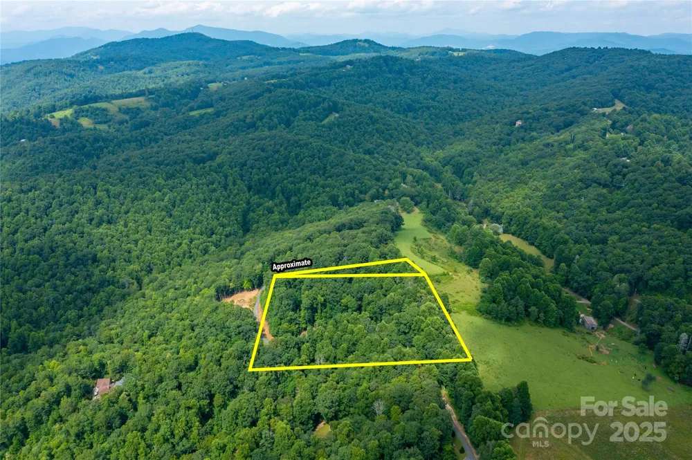 000 Sassafras Drive Little Switzerland, NC 28777