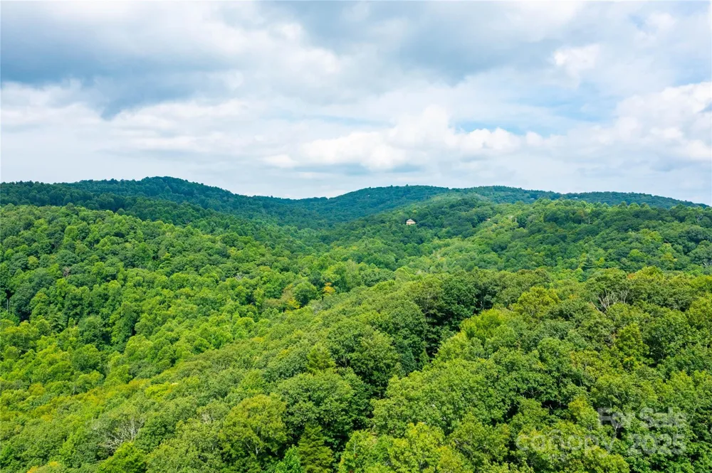 000 Sassafras Drive Little Switzerland, NC 28777