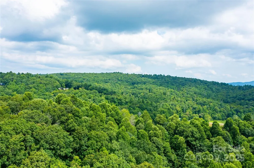 000 Sassafras Drive Little Switzerland, NC 28777
