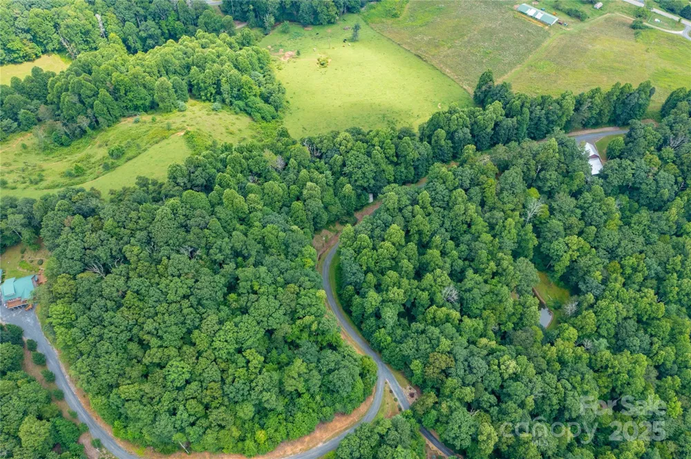 000 Sassafras Drive Little Switzerland, NC 28777
