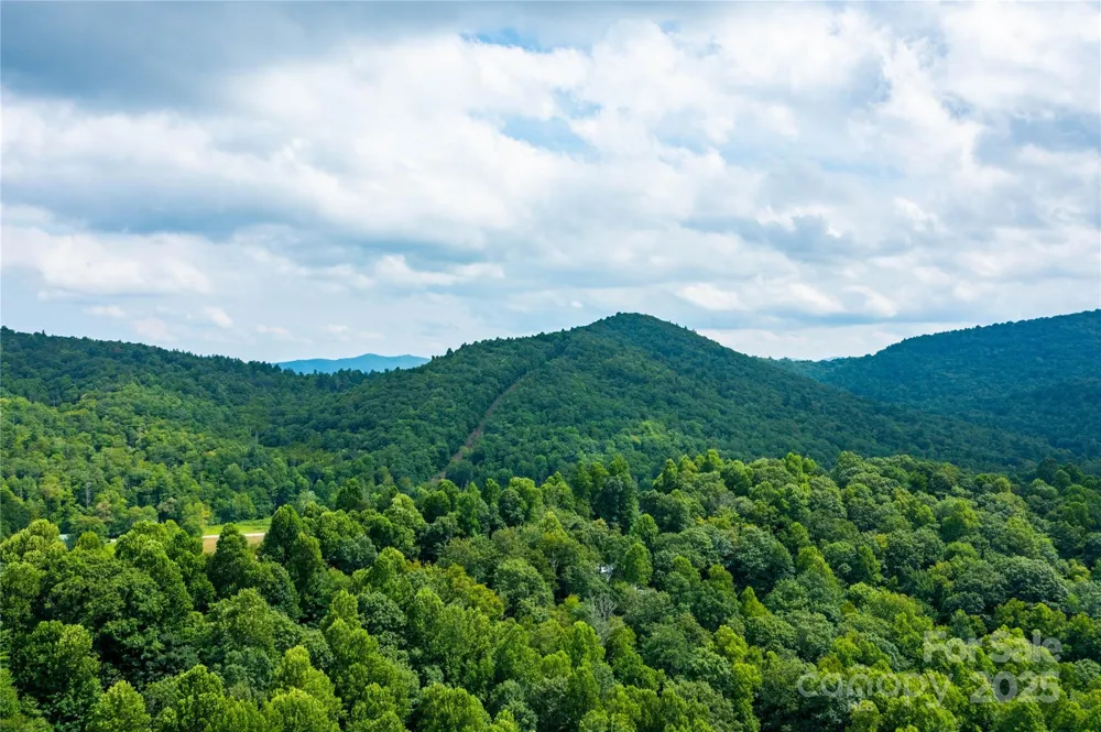 000 Sassafras Drive Little Switzerland, NC 28777