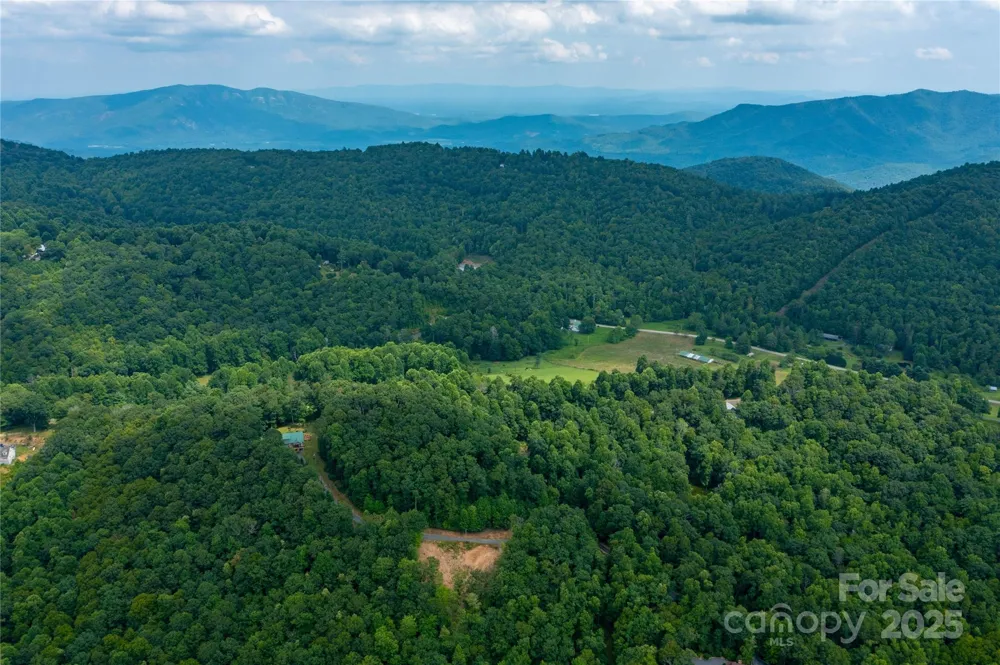 000 Sassafras Drive Little Switzerland, NC 28777