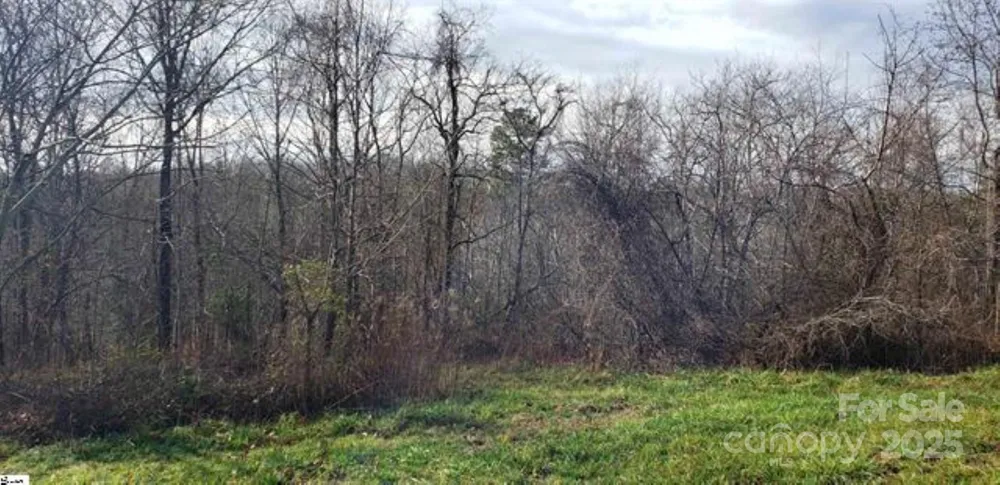00 Lockhart Circle Landrum, SC 29356