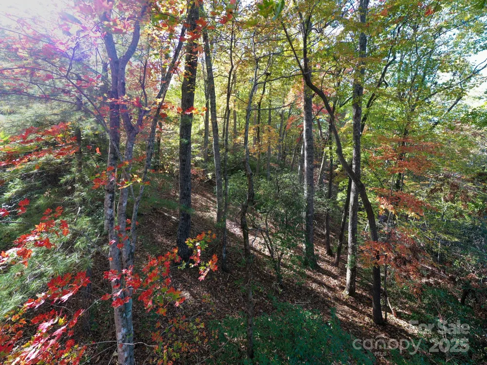 2002 Song Breeze Trail Arden, NC 28704