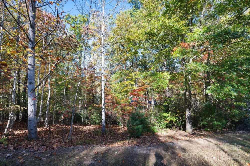2002 Song Breeze Trail Arden, NC 28704
