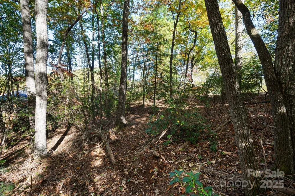 2002 Song Breeze Trail Arden, NC 28704