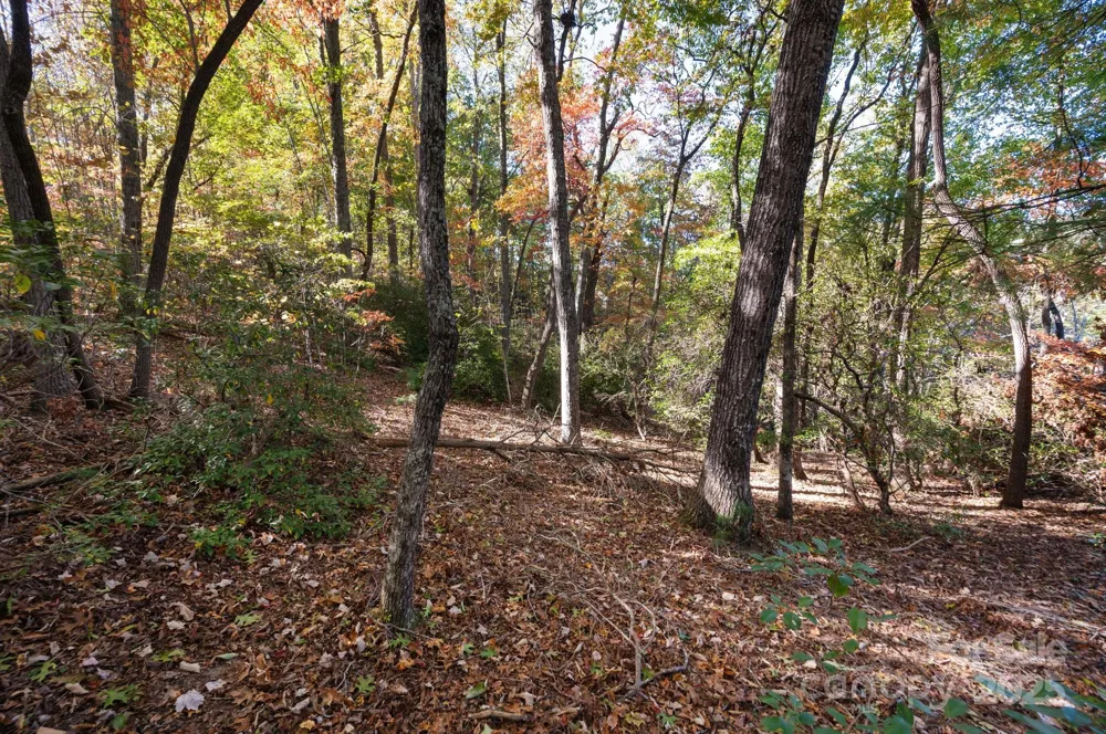 2002 Song Breeze Trail Arden, NC 28704