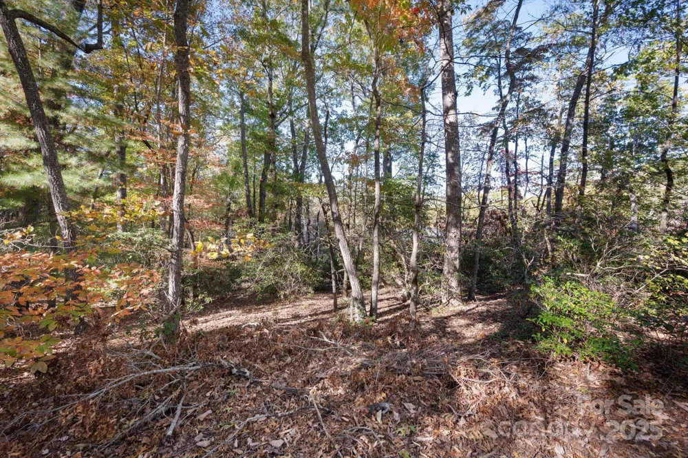2002 Song Breeze Trail Arden, NC 28704