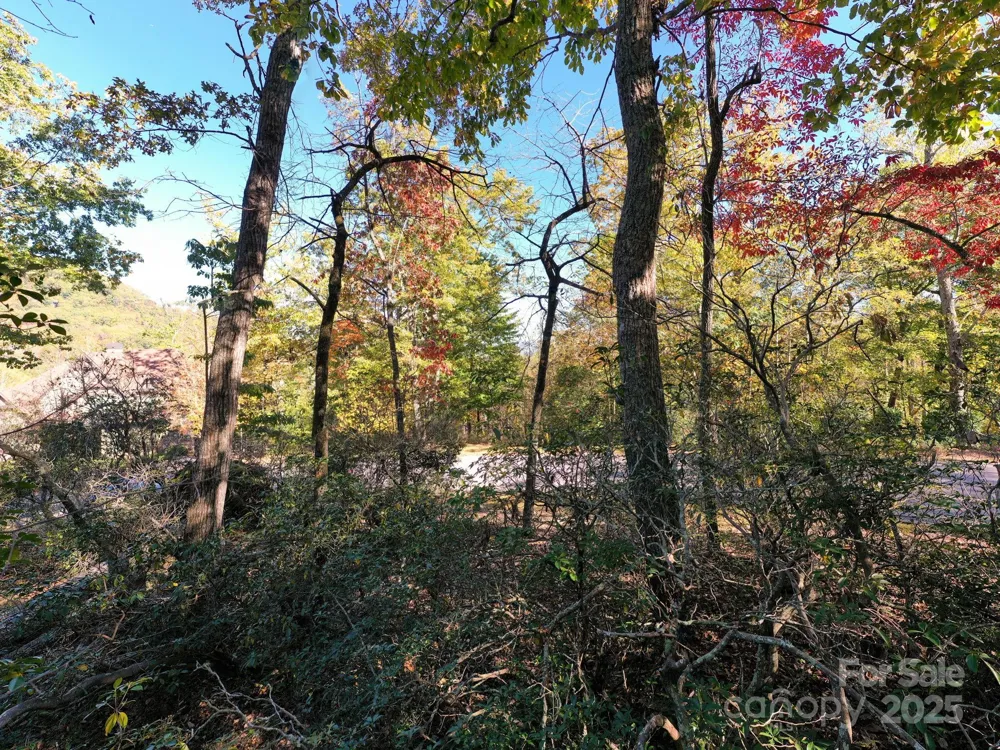 2002 Song Breeze Trail Arden, NC 28704