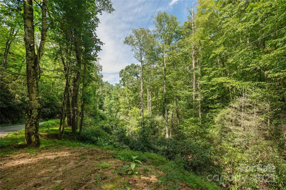 99999 Christian Creek Road Swannanoa, NC 28778