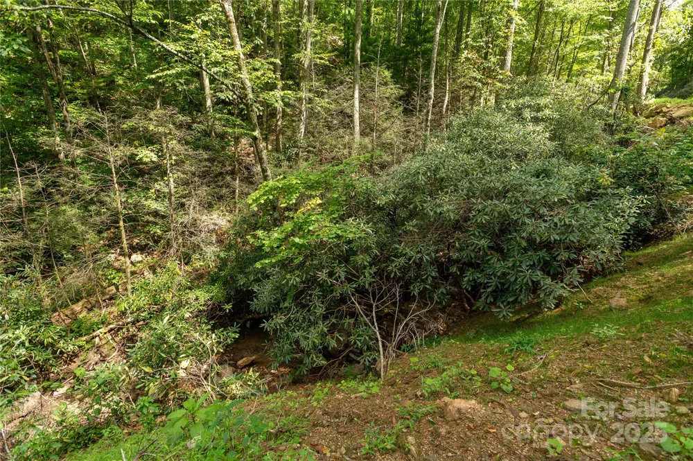 99999 Christian Creek Road Swannanoa, NC 28778