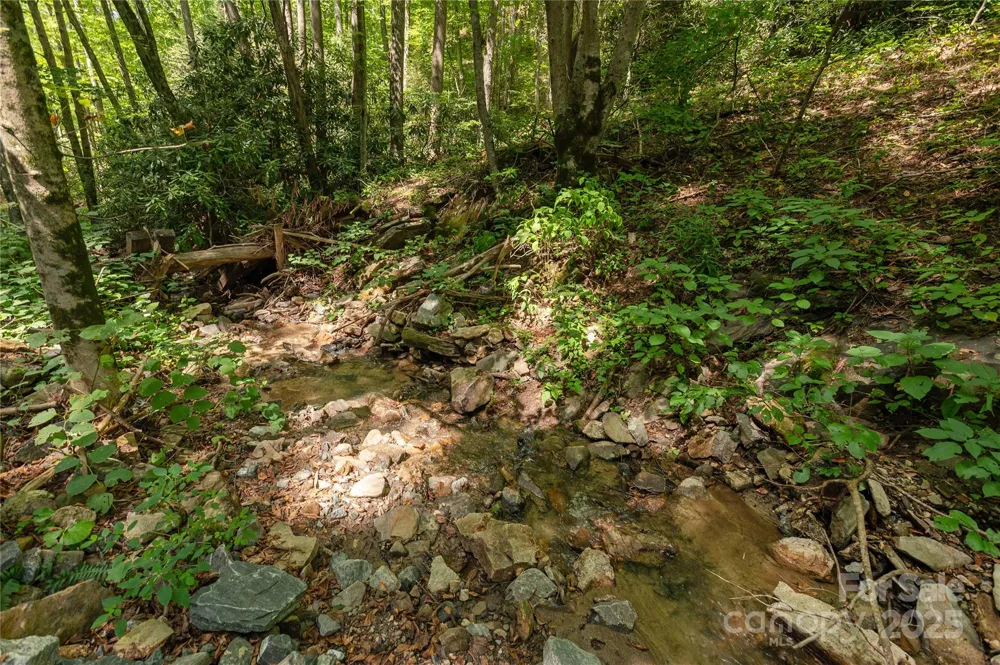 99999 Christian Creek Road Swannanoa, NC 28778