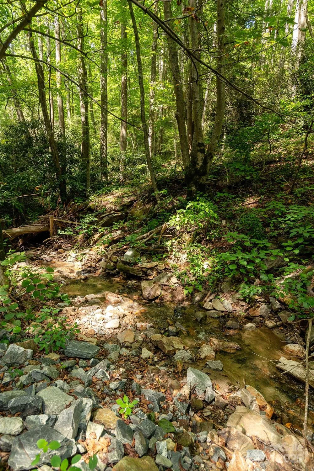 99999 Christian Creek Road Swannanoa, NC 28778
