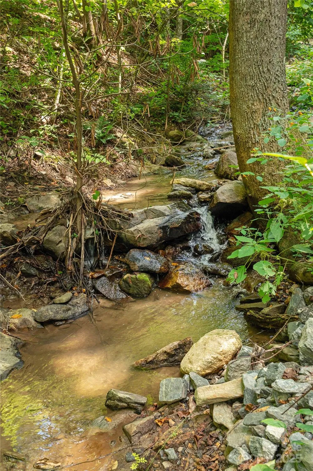 99999 Christian Creek Road Swannanoa, NC 28778