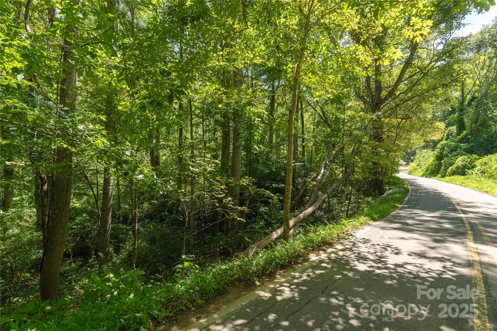 99999 Christian Creek Road Swannanoa, NC 28778