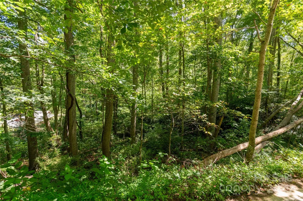 99999 Christian Creek Road Swannanoa, NC 28778