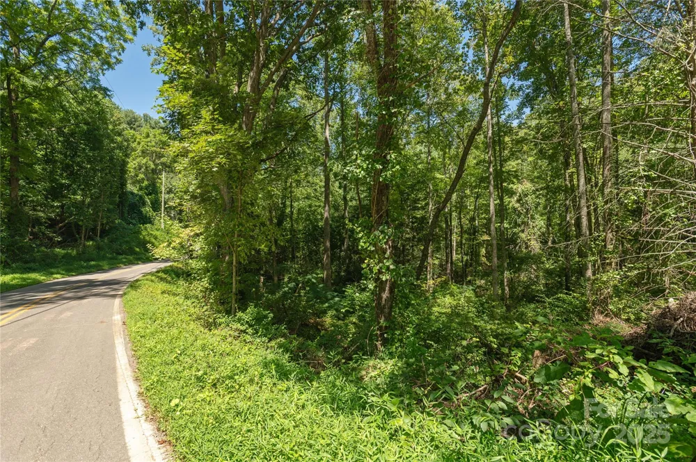 99999 Christian Creek Road Swannanoa, NC 28778