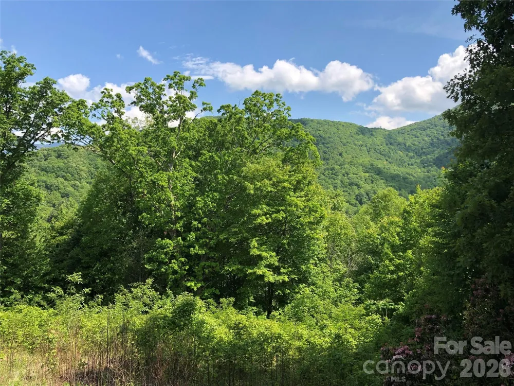 Lots 61 and  62 Wildwood Drive Burnsville, NC 28714