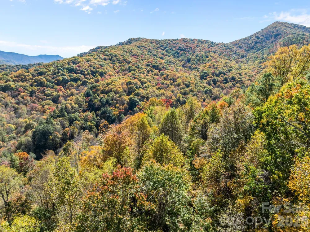 Lots 61 and  62 Wildwood Drive Burnsville, NC 28714