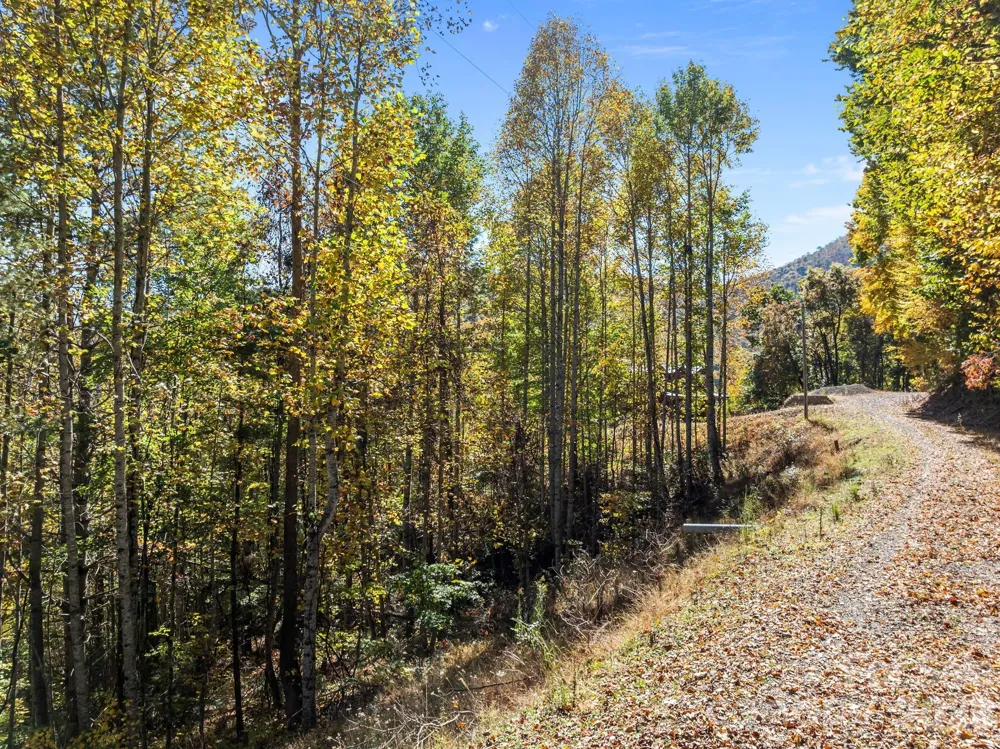 Lots 61 and  62 Wildwood Drive Burnsville, NC 28714