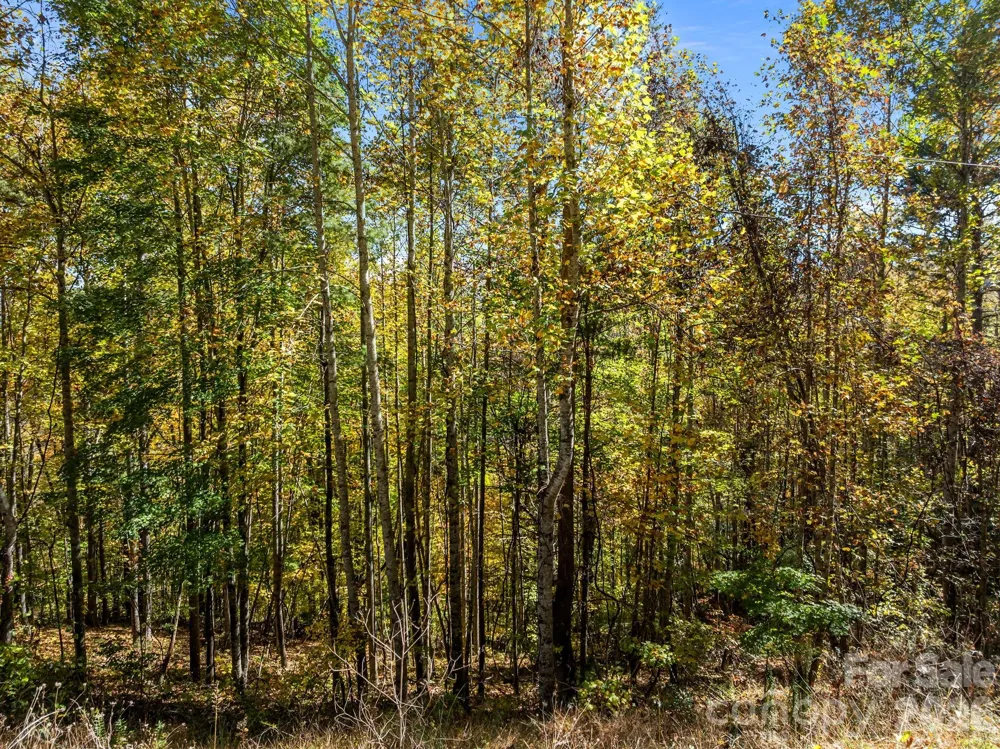 Lots 61 and  62 Wildwood Drive Burnsville, NC 28714