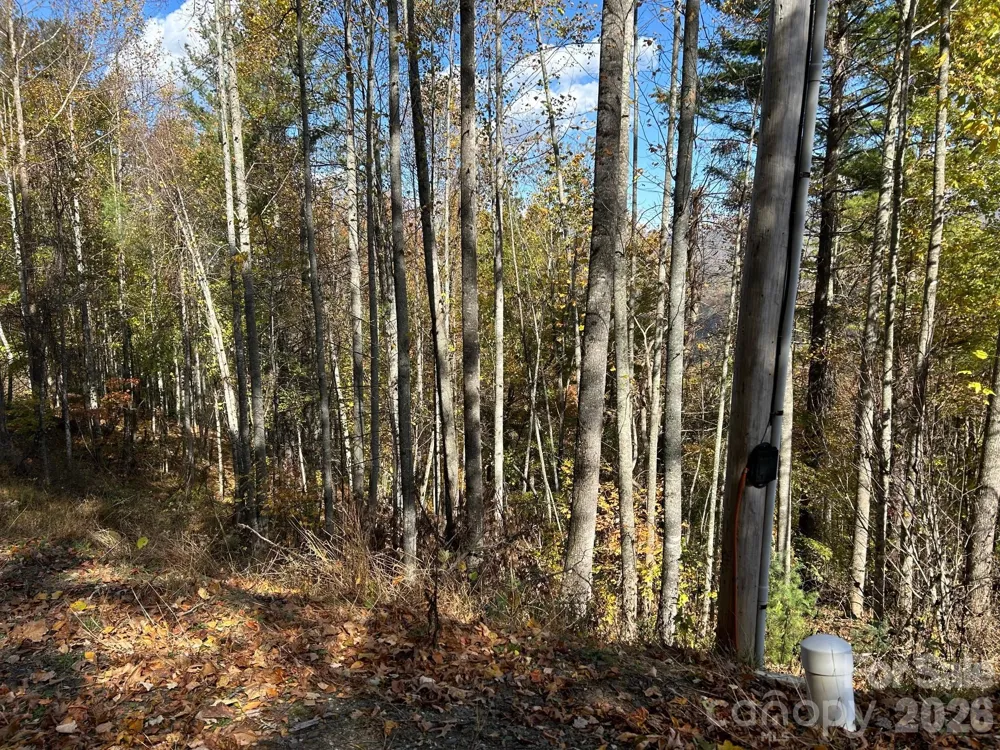 Lots 61 and  62 Wildwood Drive Burnsville, NC 28714