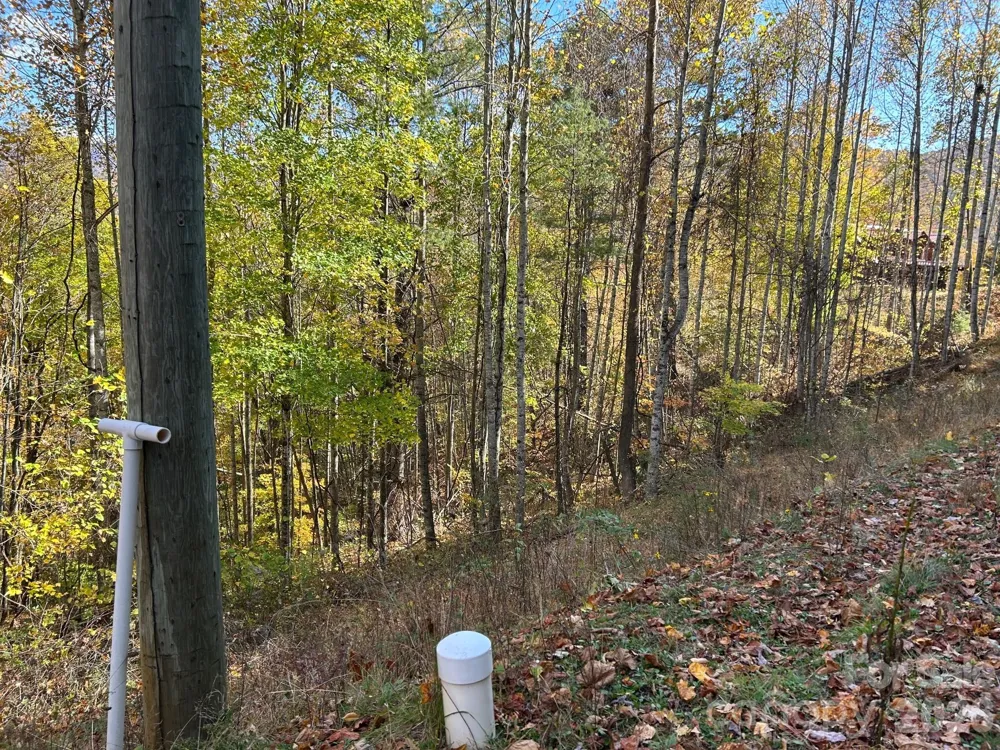 Lots 61 and  62 Wildwood Drive Burnsville, NC 28714