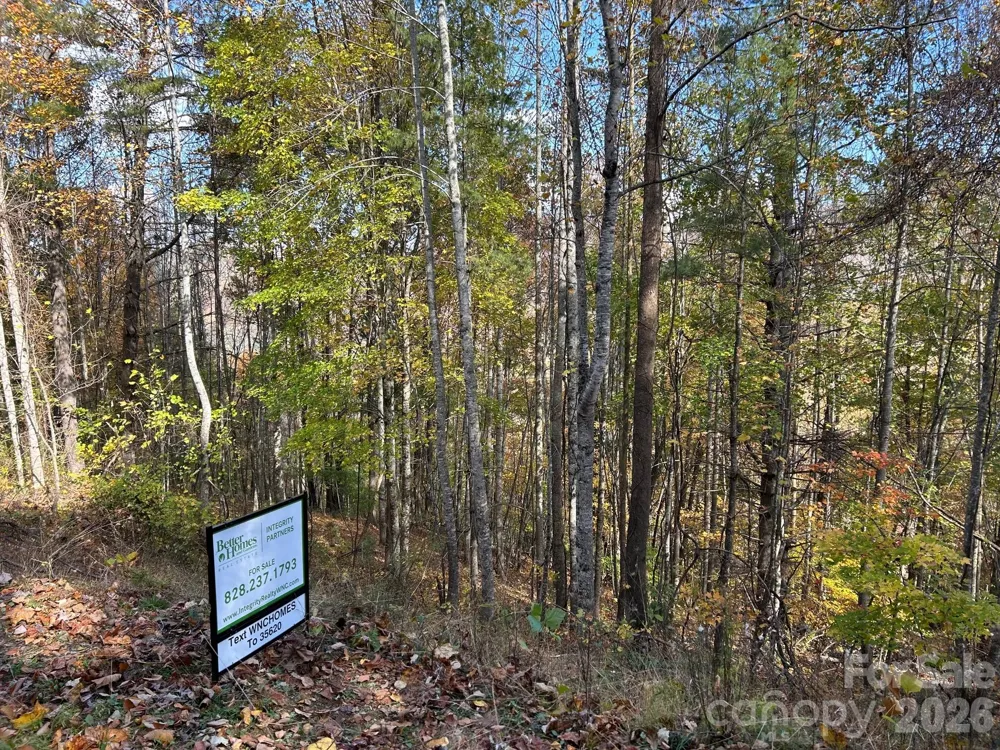 Lots 61 and  62 Wildwood Drive Burnsville, NC 28714