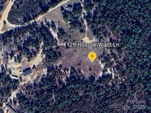 129 Roscoe Lane Patrick, SC 29584