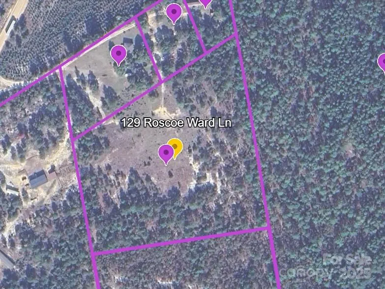 129 Roscoe Lane Patrick, SC 29584
