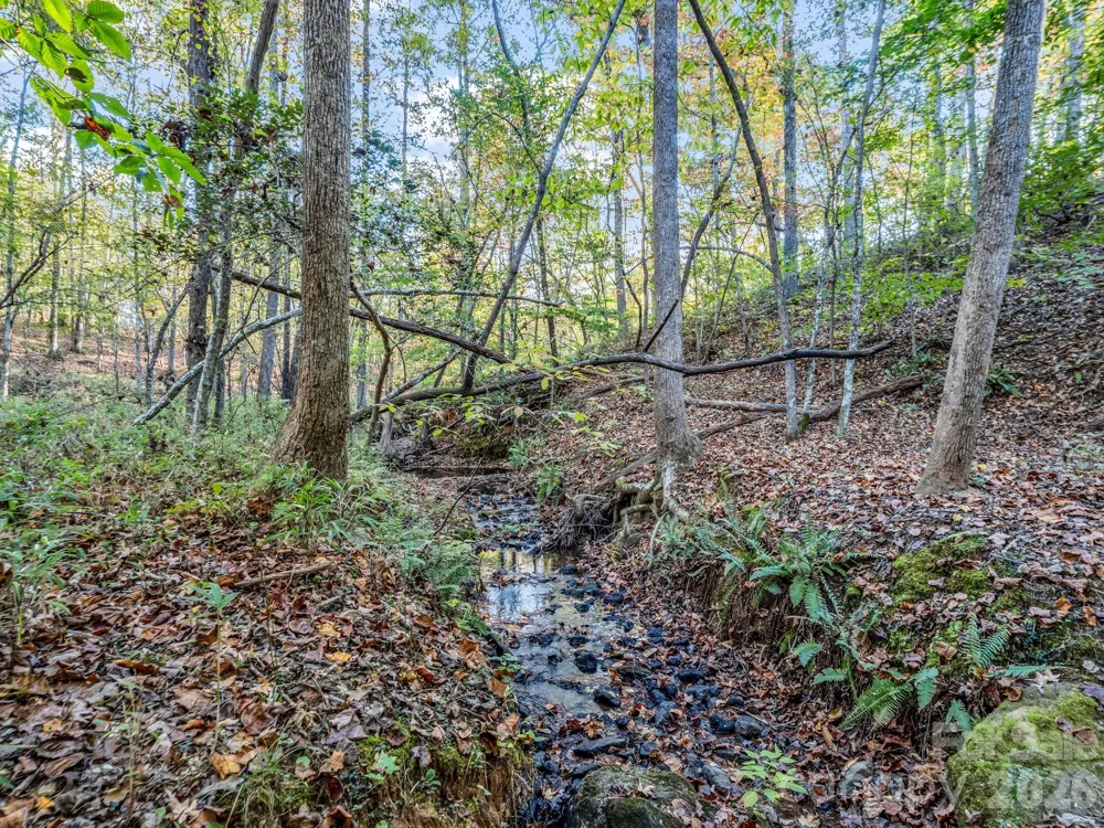 663 Landrum Road Columbus, NC 28722