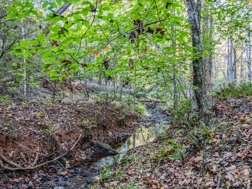 663 Landrum Road Columbus, NC 28722
