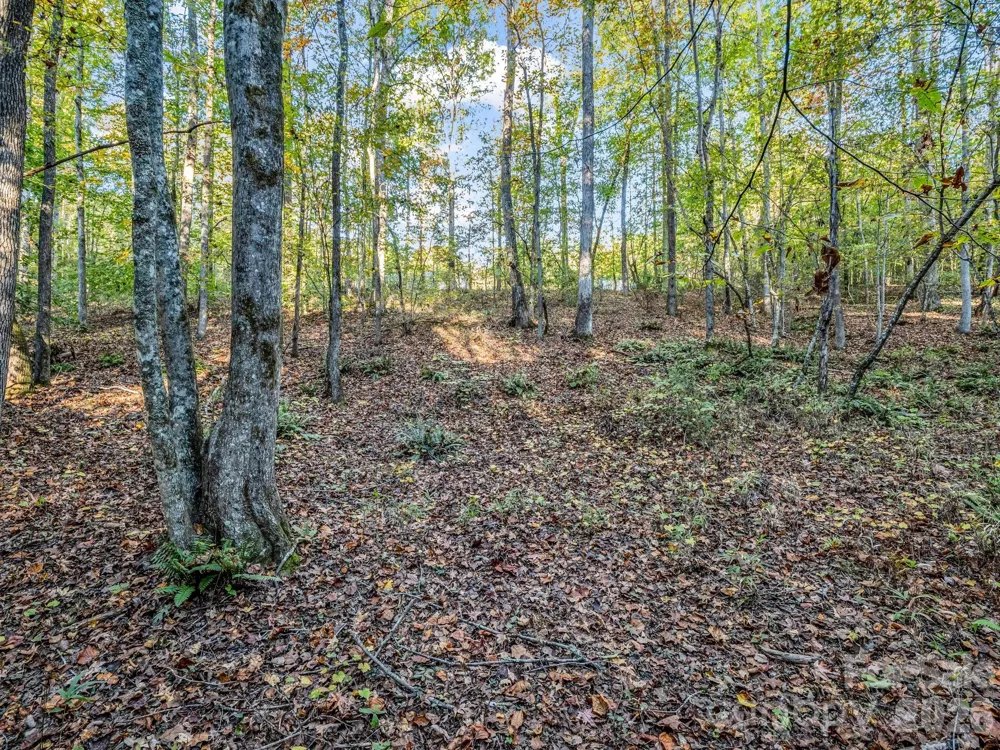 663 Landrum Road Columbus, NC 28722