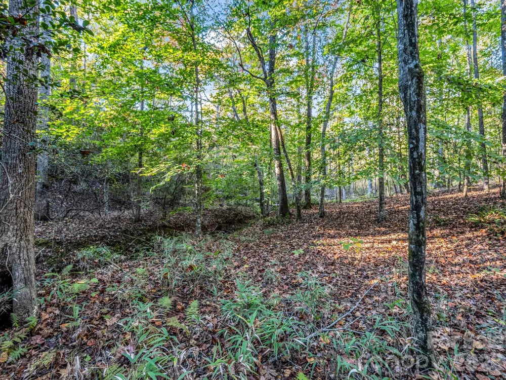 663 Landrum Road Columbus, NC 28722