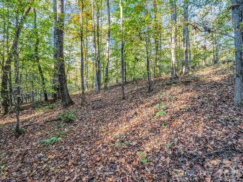 663 Landrum Road Columbus, NC 28722
