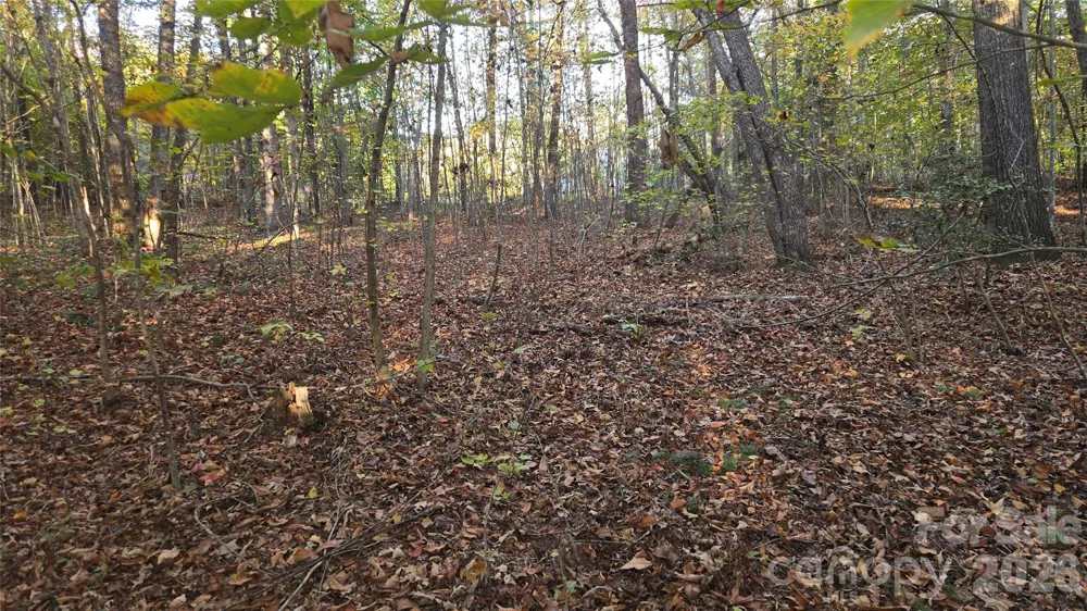 663 Landrum Road Columbus, NC 28722