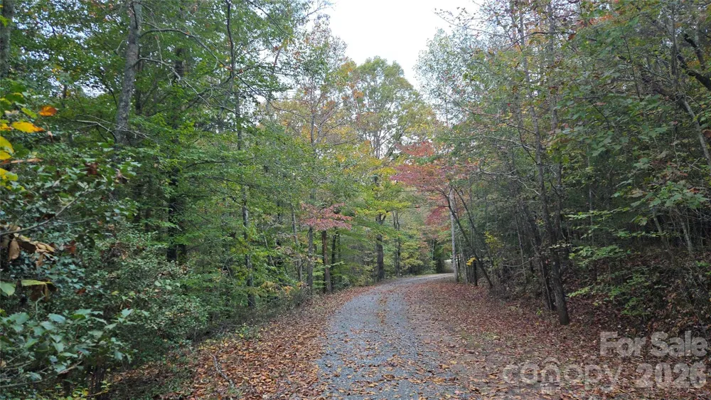 663 Landrum Road Columbus, NC 28722