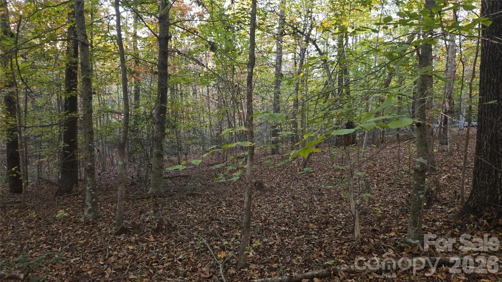 663 Landrum Road Columbus, NC 28722
