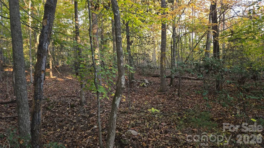 663 Landrum Road Columbus, NC 28722
