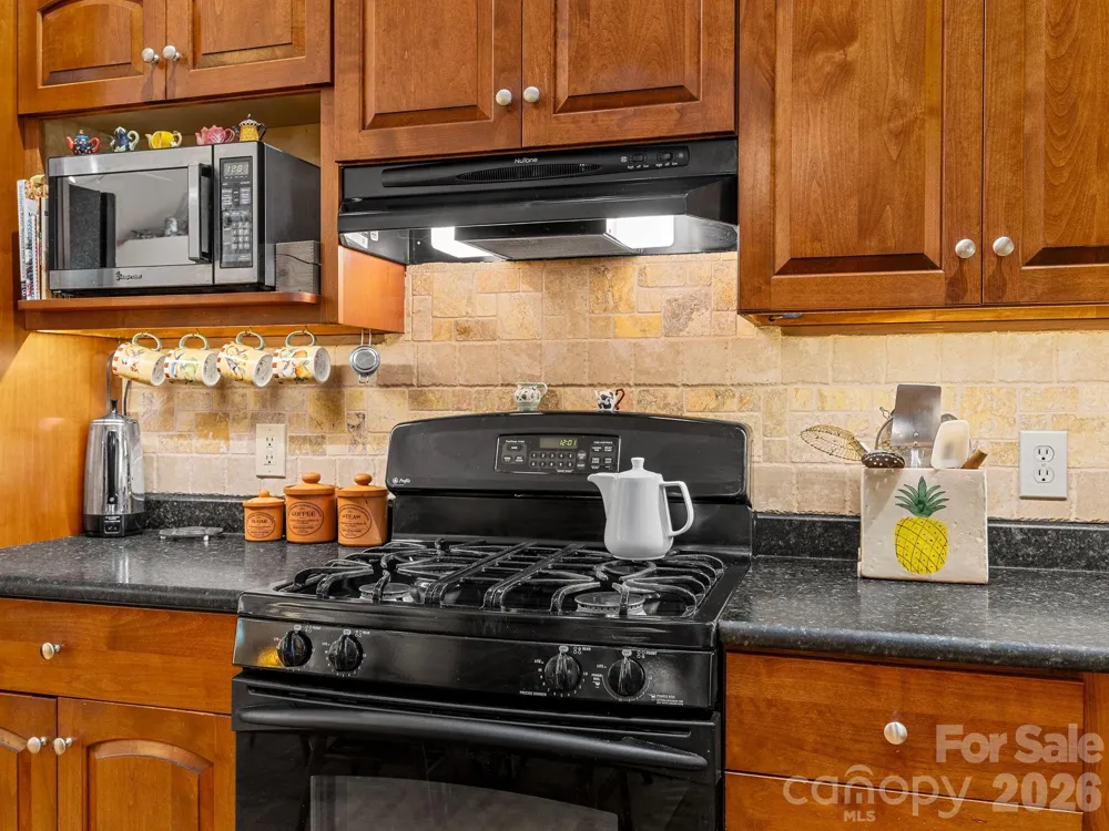 160 Caledonia Road Landrum, SC 29356