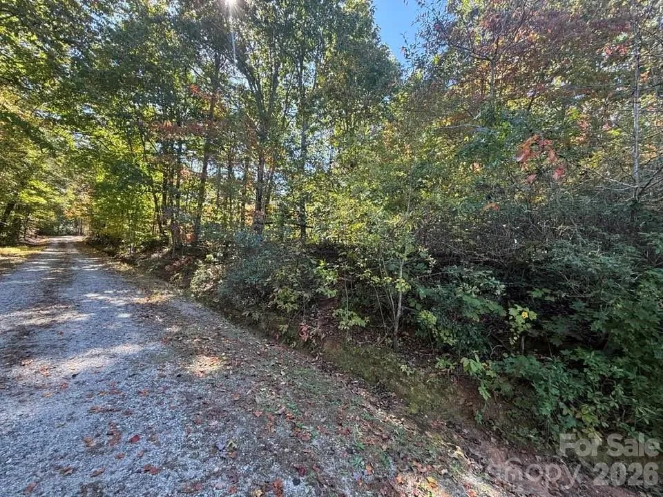 160 Caledonia Road Landrum, SC 29356