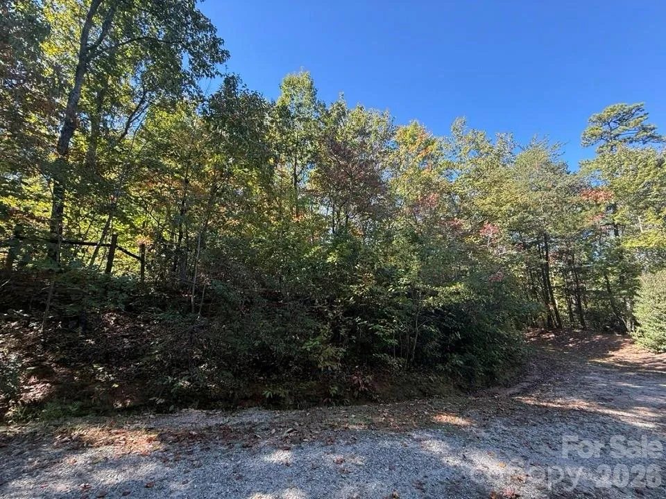 160 Caledonia Road Landrum, SC 29356