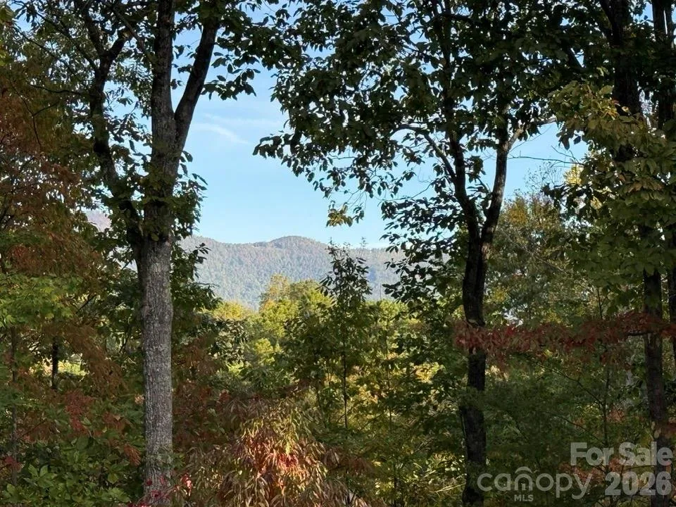 160 Caledonia Road Landrum, SC 29356