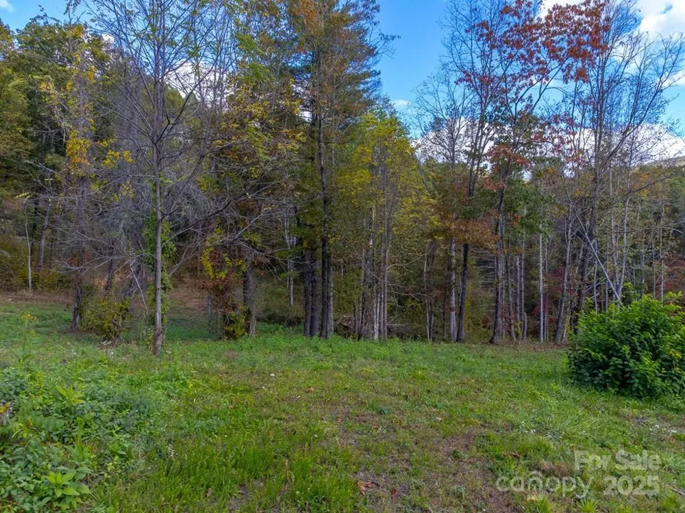 8125 Ellijay Road Franklin, NC 28734