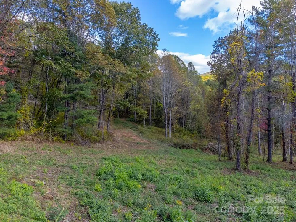 8125 Ellijay Road Franklin, NC 28734