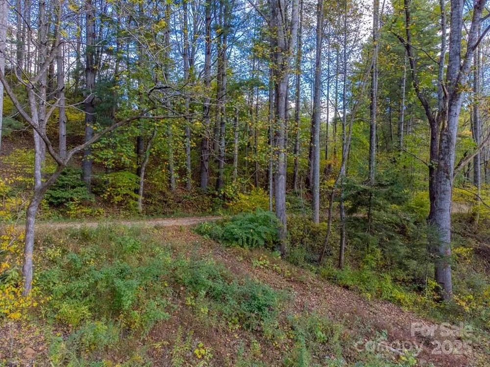 8125 Ellijay Road Franklin, NC 28734