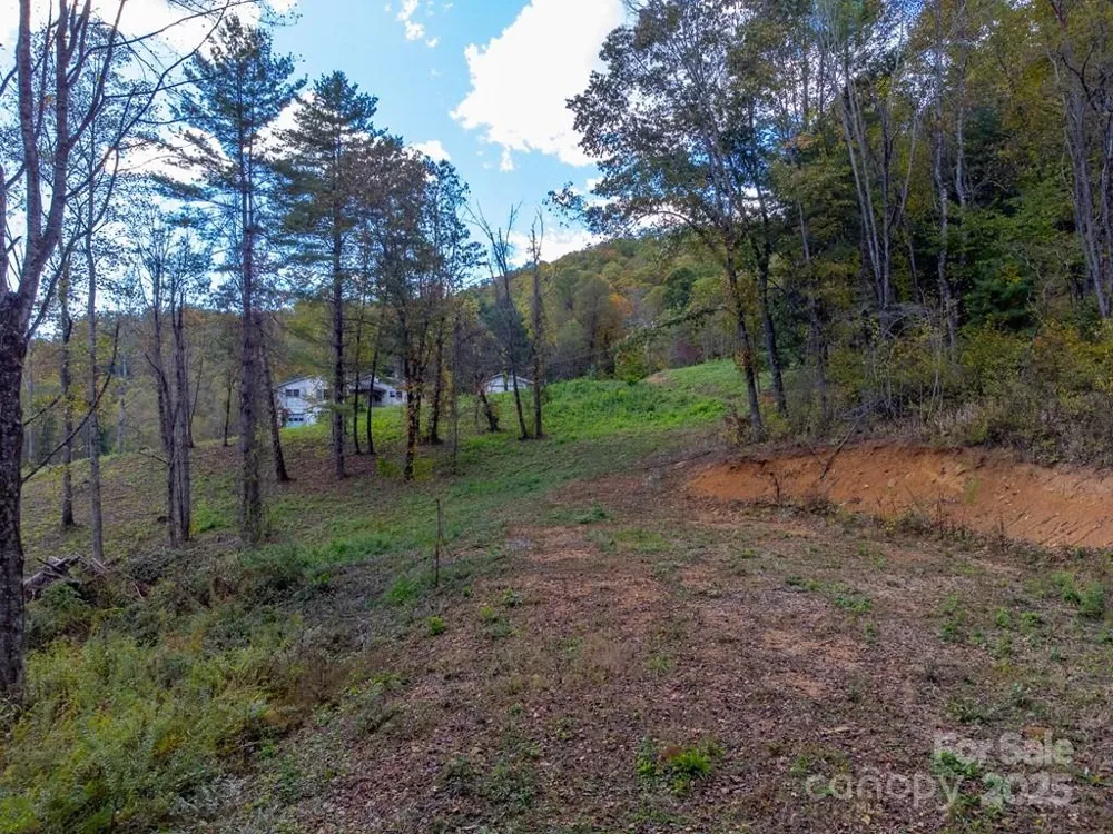 8125 Ellijay Road Franklin, NC 28734