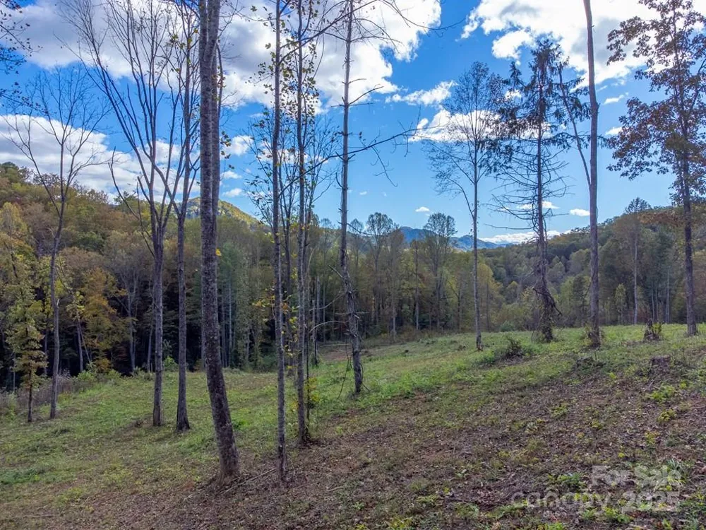 8125 Ellijay Road Franklin, NC 28734