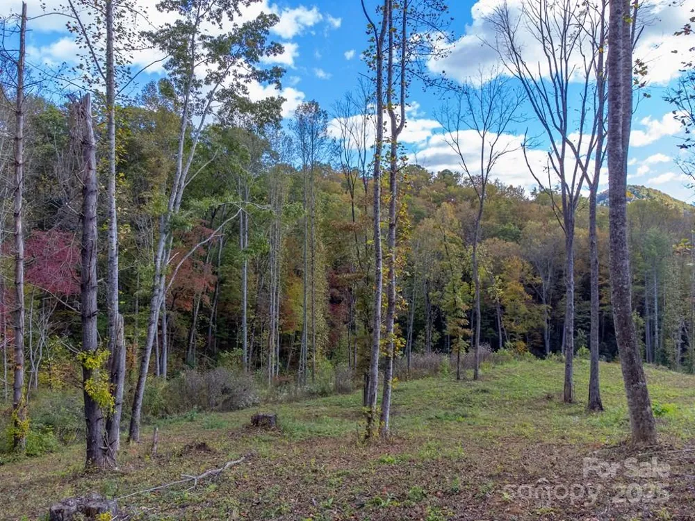 8125 Ellijay Road Franklin, NC 28734